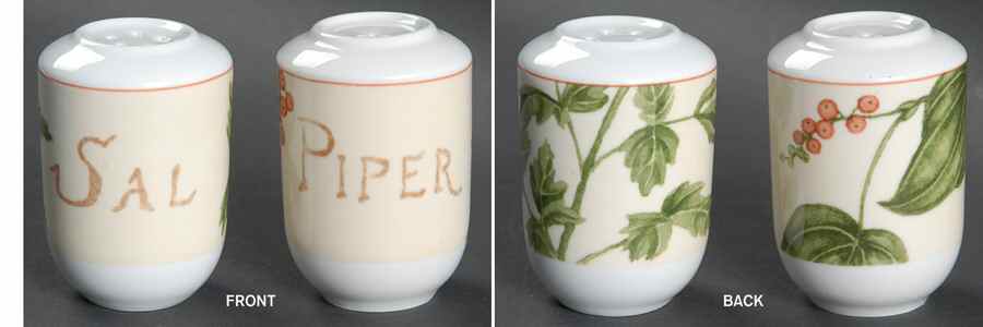 Botanica Salt & Pepper Set by Vista Alegre-1