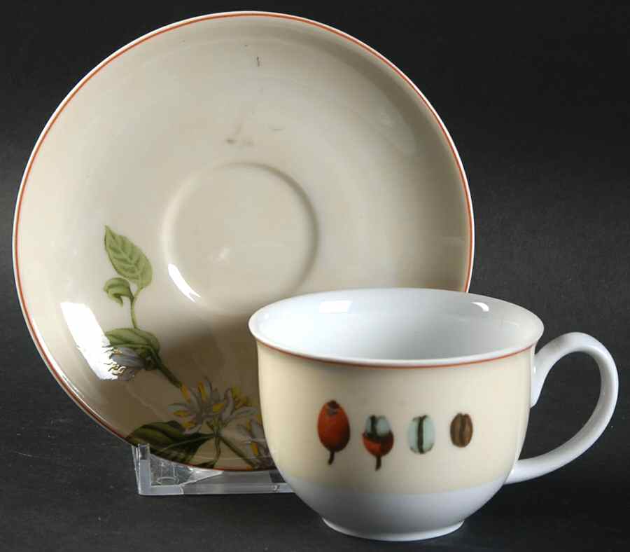 Botanica Flat Demitasse Cup & Saucer Set by Vista Alegre-1