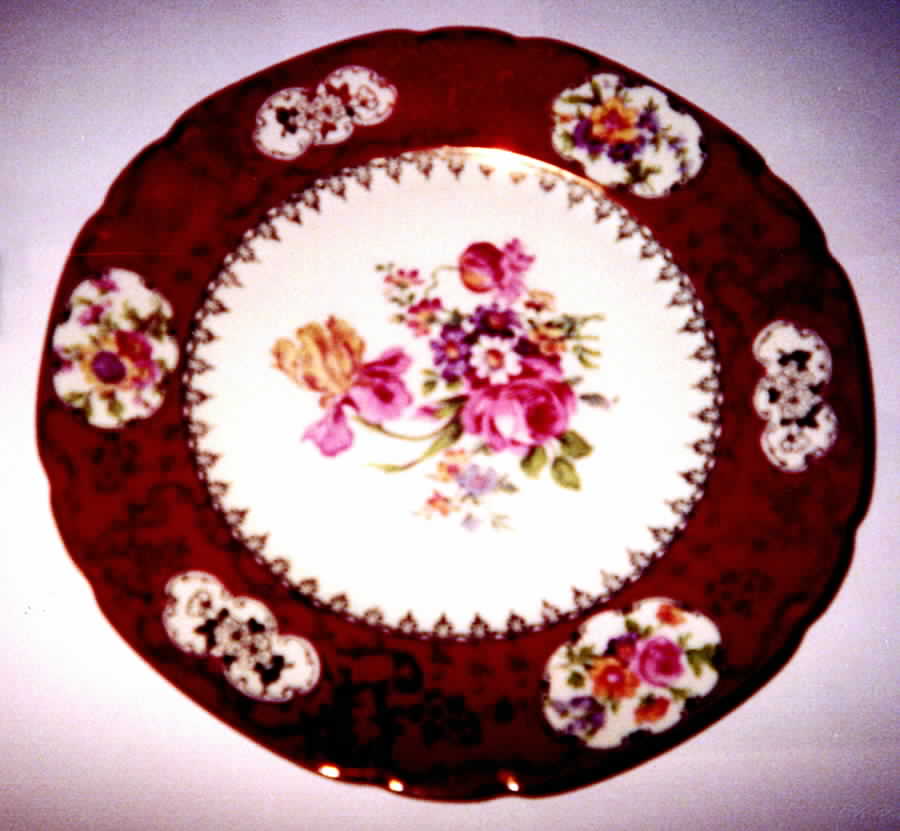 VIT178 Dinner Plate by Victoria (Czech)-1