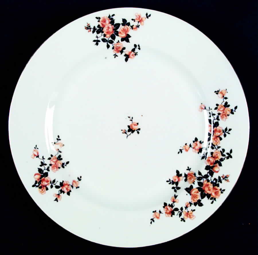 VIT179 Dinner Plate by Victoria (Czech)-1