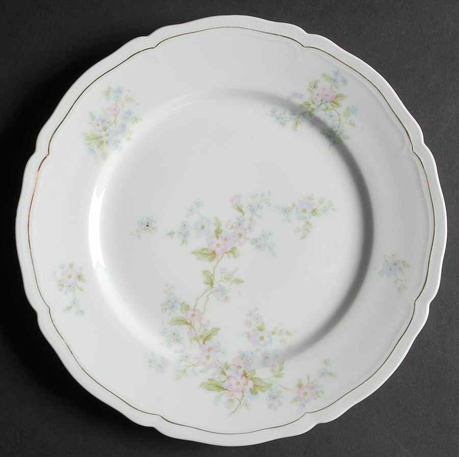 VNN20 Dinner Plate by Vienna-1
