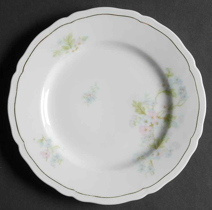 VNN20 Bread & Butter Plate by Vienna-1