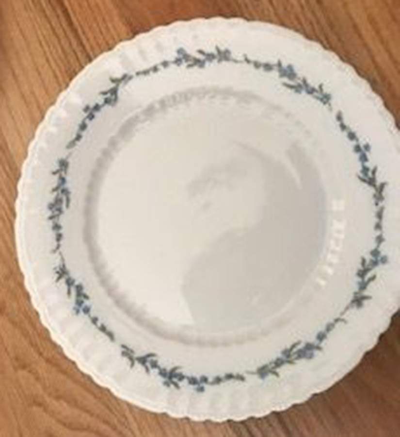 VTO45 Salad Plate by Victoria (Austria)-1