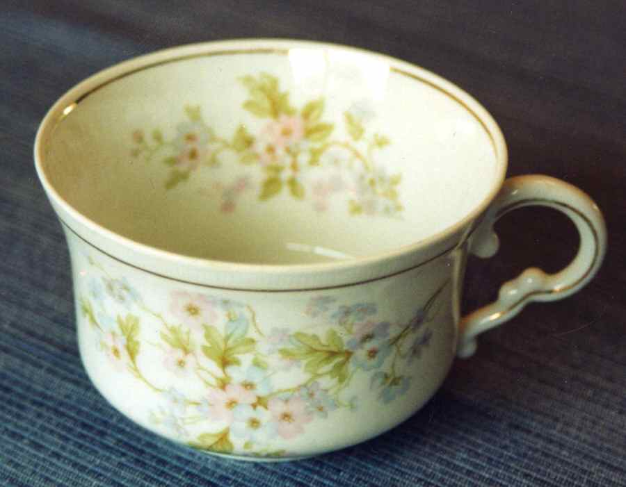 VNN15 Flat Cup by Vienna-1