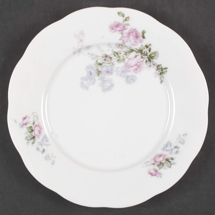 VTO119 Salad Plate by Victoria (Austria)-1