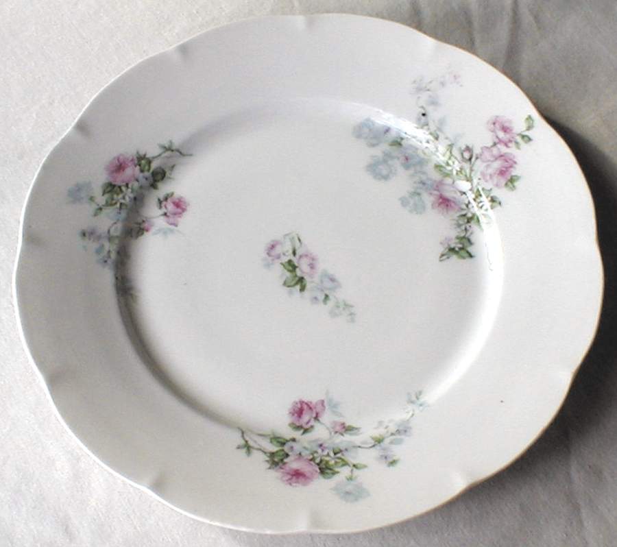 VTO119 Dinner Plate by Victoria (Austria)-1