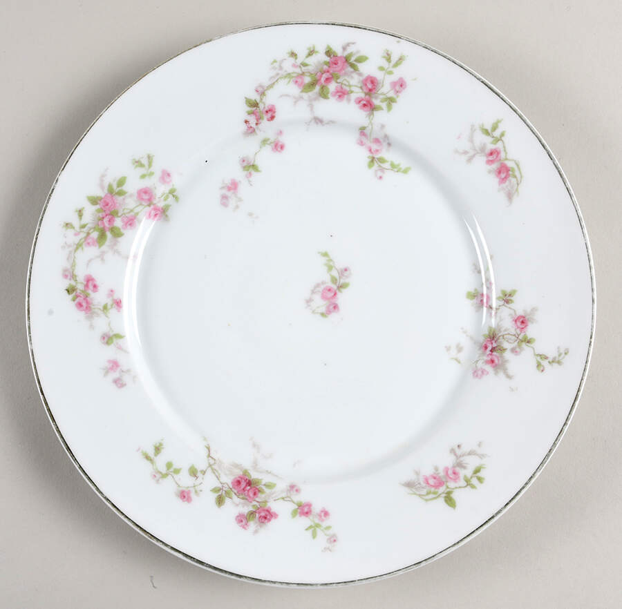VTO46 Dinner Plate by Victoria (Austria)-1