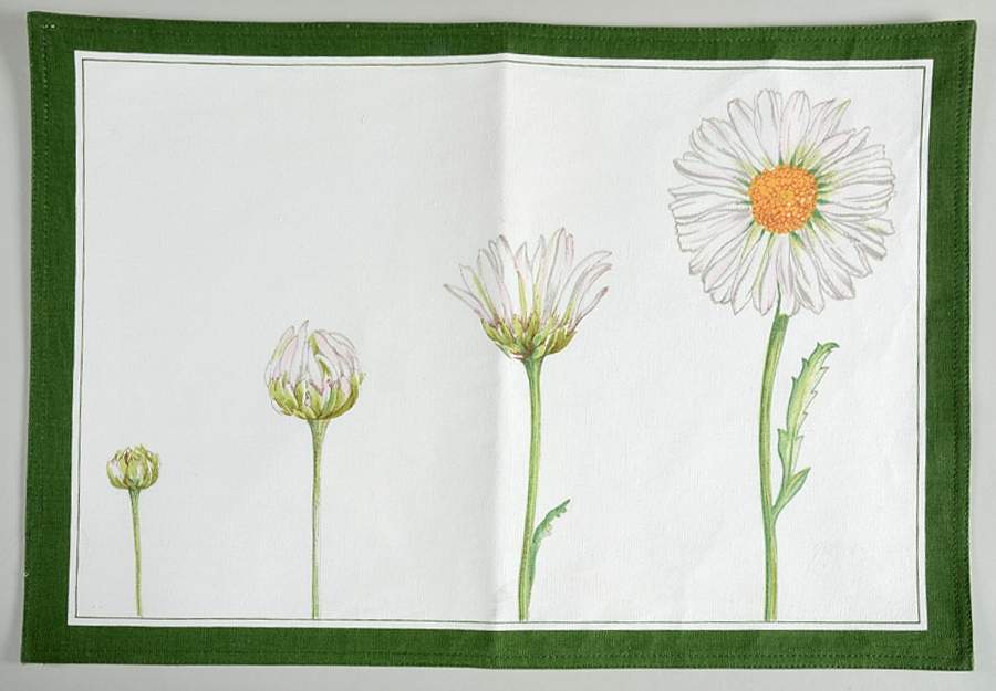 Flora Reversible Cloth Placemat by Villeroy & Boch-1