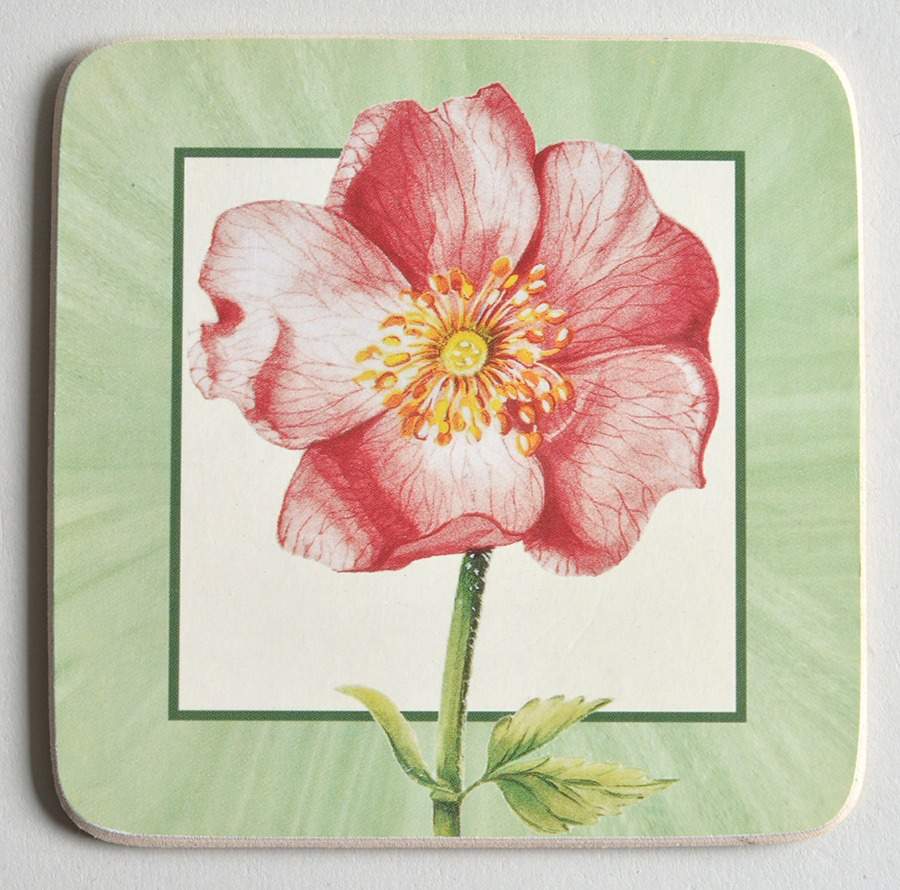 Flora Square Corkback Coaster by Villeroy & Boch-1