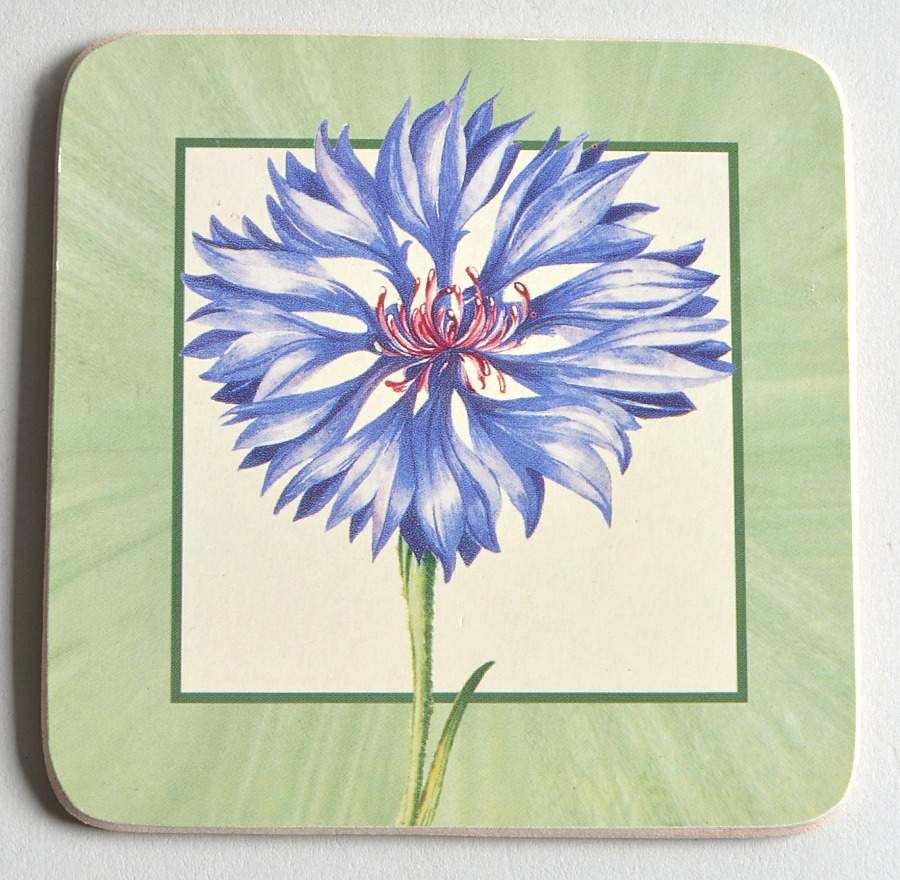 Flora Square Corkback Coaster by Villeroy & Boch-1