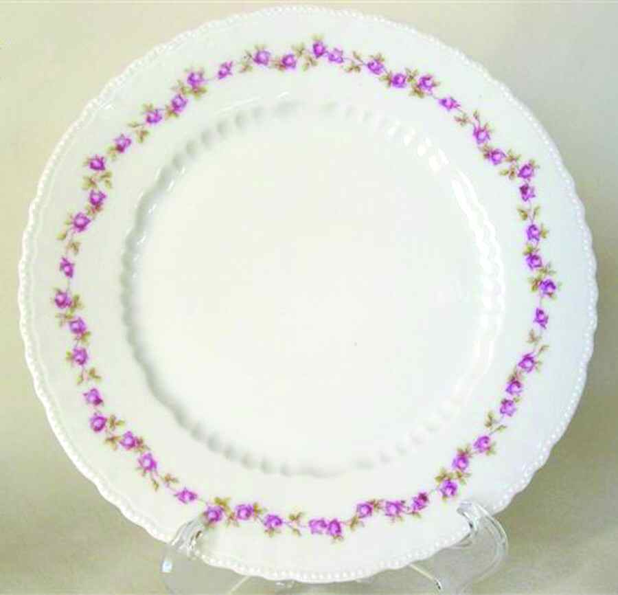 VTO49 Dinner Plate by Victoria (Austria)-1
