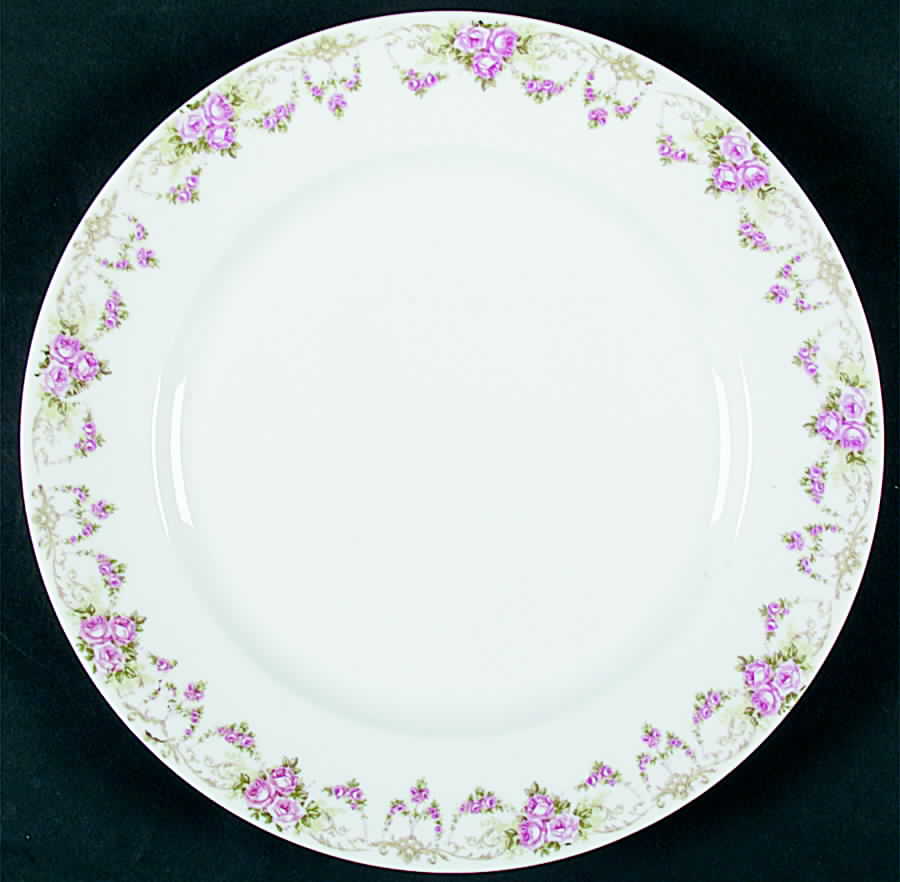 VNN11 Dinner Plate by Vienna-1