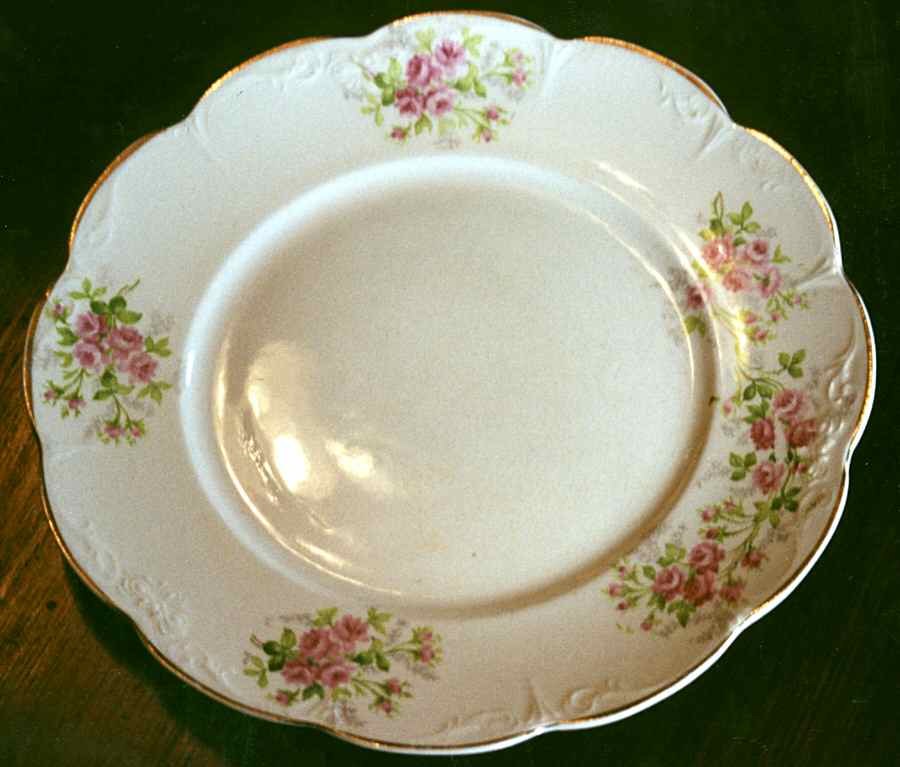 540 Dinner Plate by Vienna-1