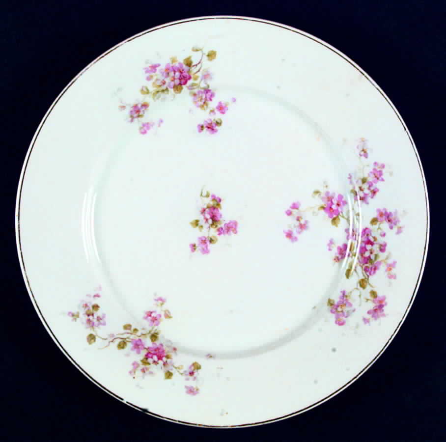 VIT192 Dinner Plate by Victoria (Czech)-1