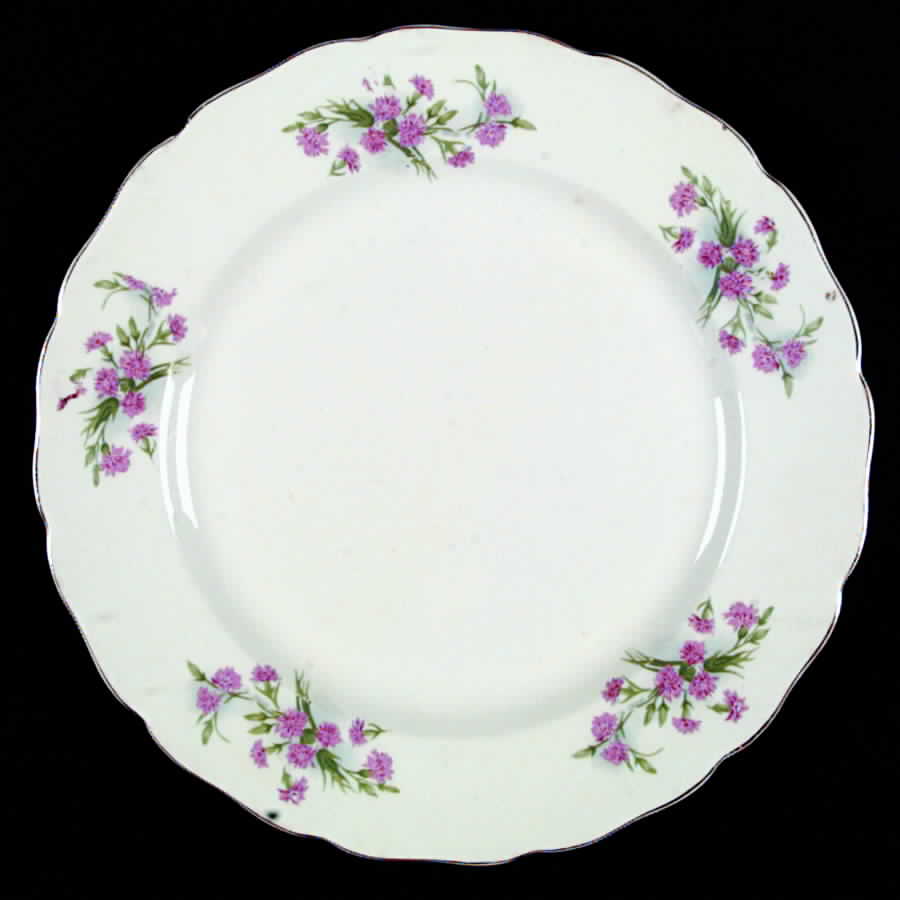 Carnation Dinner Plate by Vanity Fair-1