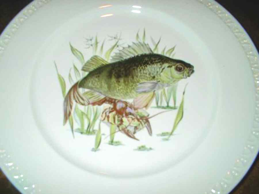 VIL80 Dinner Plate by Villeroy & Boch-1