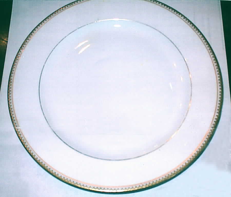 VIG100 Dinner Plate by Vignaud-1