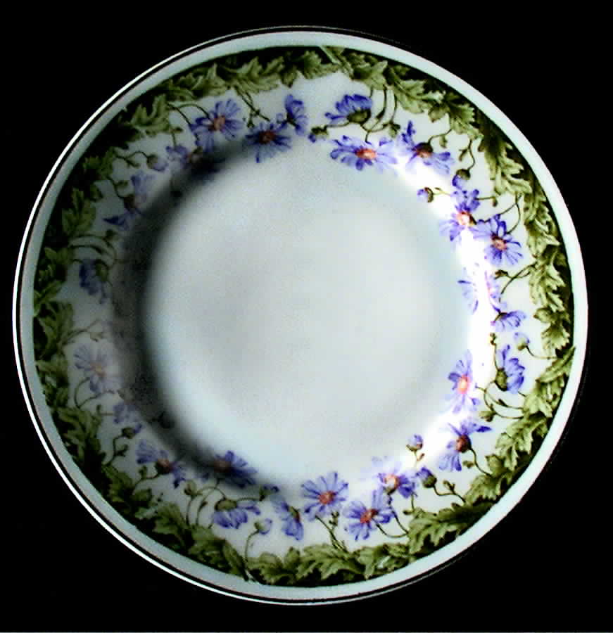 VNN5 Bread & Butter Plate by Vienna-1