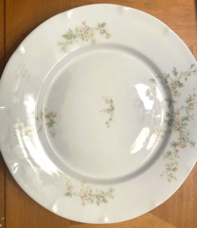 VTO63 Dinner Plate by Victoria (Austria)-1
