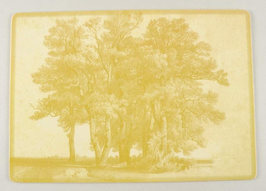 Parkland Corkboard Placemat by Villeroy & Boch-1