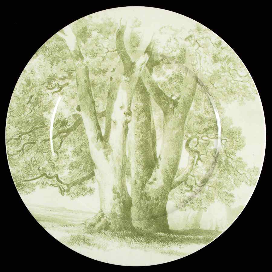 Parkland Green Service Plate (Charger) by Villeroy & Boch-1