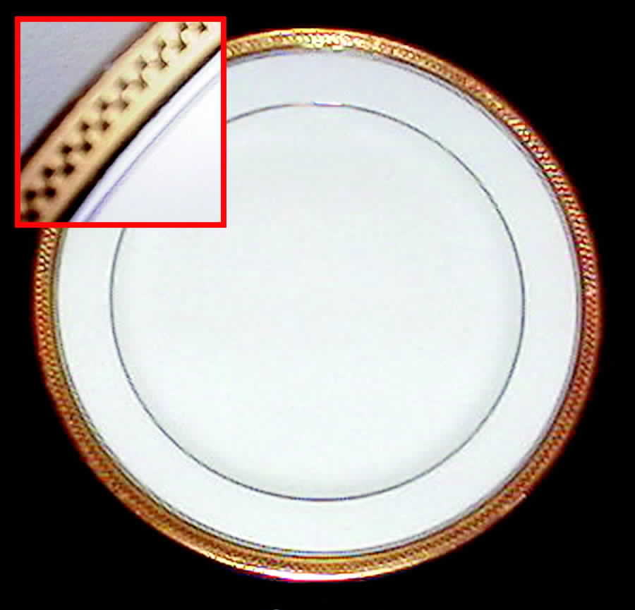 VIG108 Dinner Plate by Vignaud-1