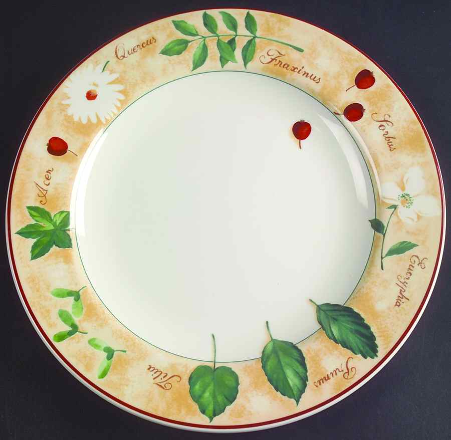 Tilia Dinner Plate by Vista Alegre-1