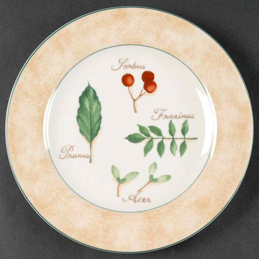 Tilia Salad/Dessert Plate by Vista Alegre-1