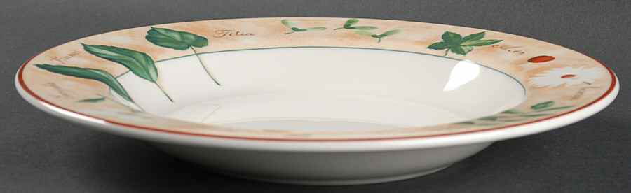 Tilia Large Rim Soup Bowl by Vista Alegre-1