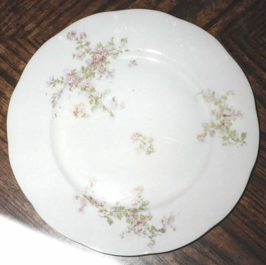 VIT223 Dinner Plate by Victoria (Czech)-1