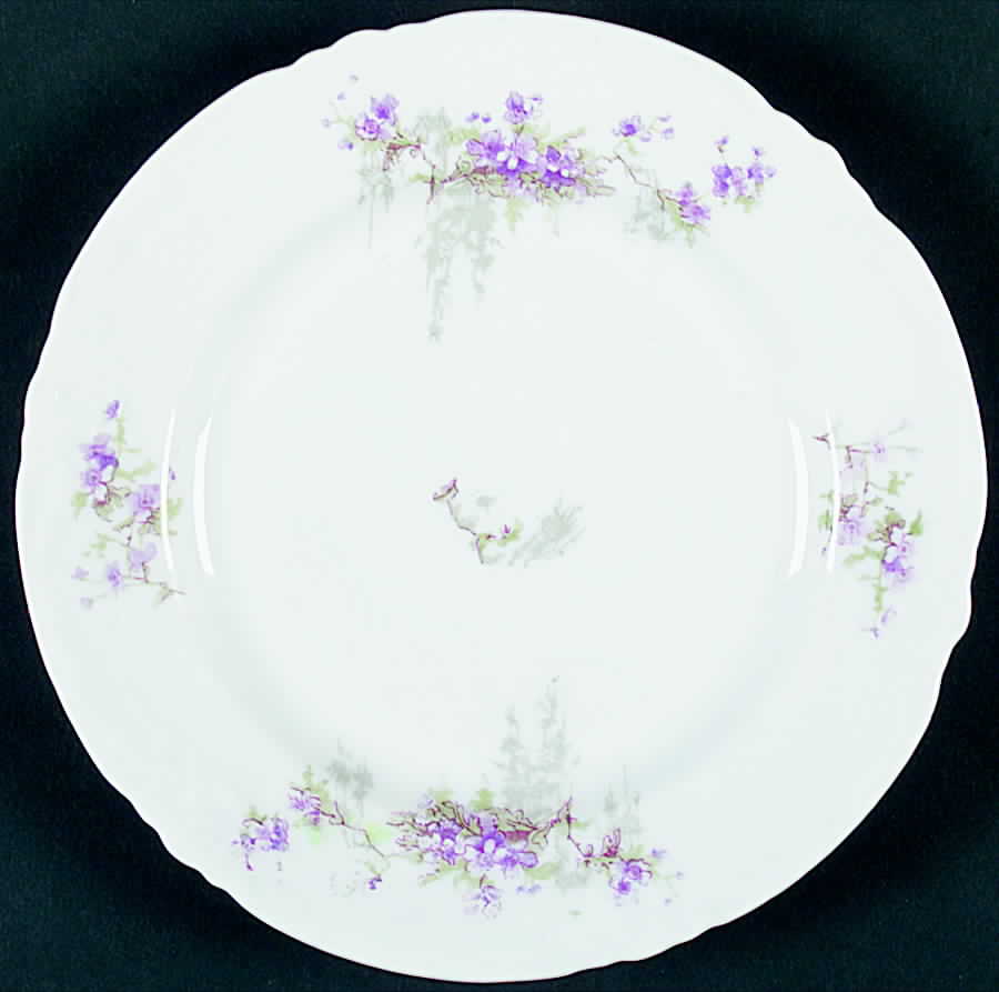 VTO69 Salad Plate by Victoria (Austria)-1