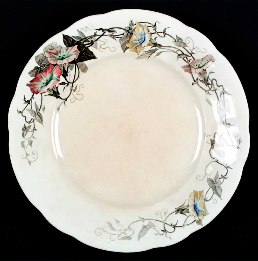 Ilka Salad Plate by Villeroy & Boch-1