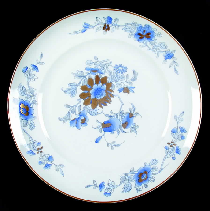 Pratochin Dinner Plate by Vista Alegre-1