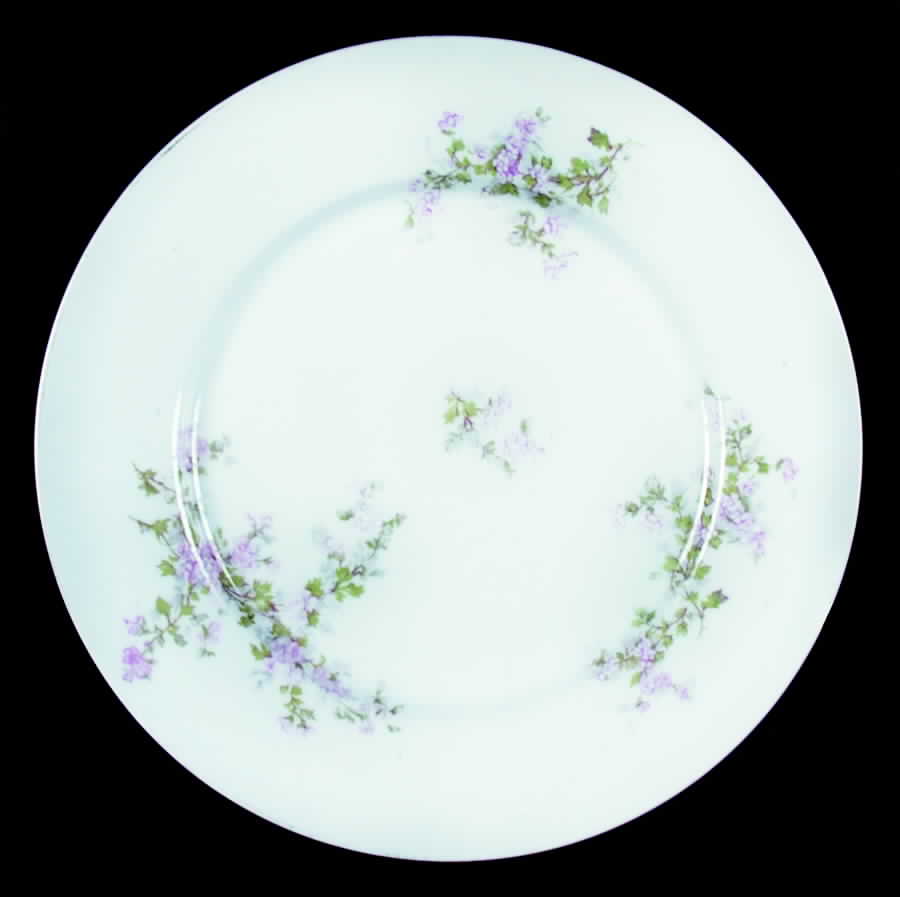 VTO79 Dinner Plate by Victoria (Austria)-1