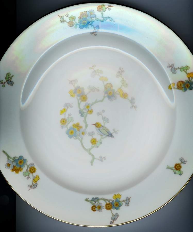 VIG119 Dinner Plate by Vignaud-1