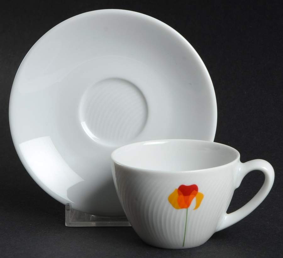 Poppy Papoilas Flat Demitasse Cup & Saucer Set by Vista Alegre-1