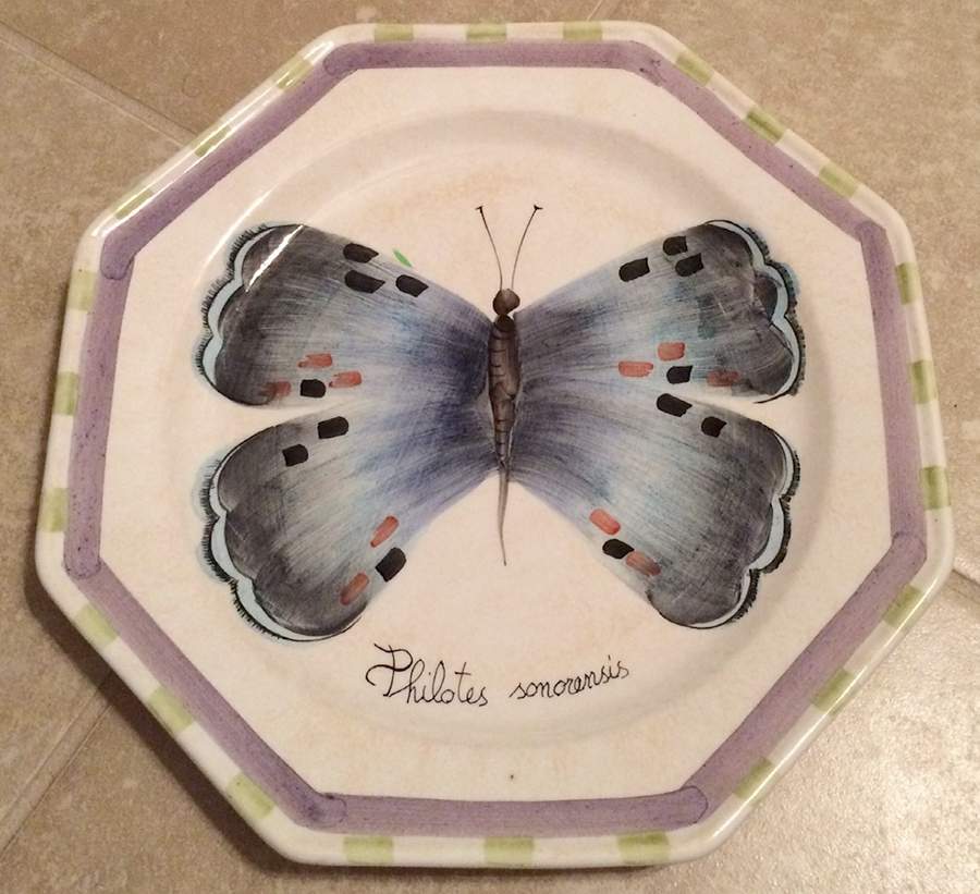 Butterfly (Octagonal) Dinner Plate by Vietri (Italy)-1