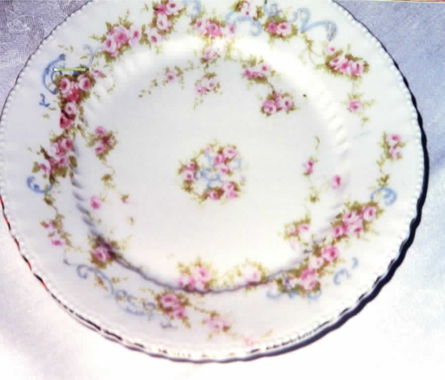 VTO80 Dinner Plate by Victoria (Austria)-1