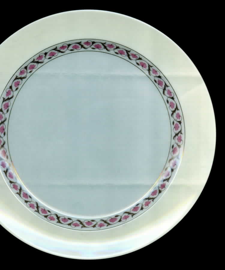 Vig124 Dinner Plate by Vignaud-1