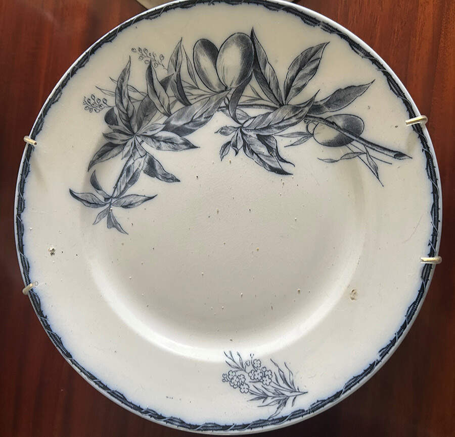 Amos Dinner Plate by Villeroy & Boch-1