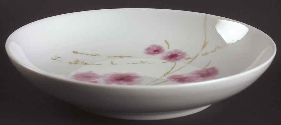 Arigato Coupe Soup Bowl by Vista Alegre-1