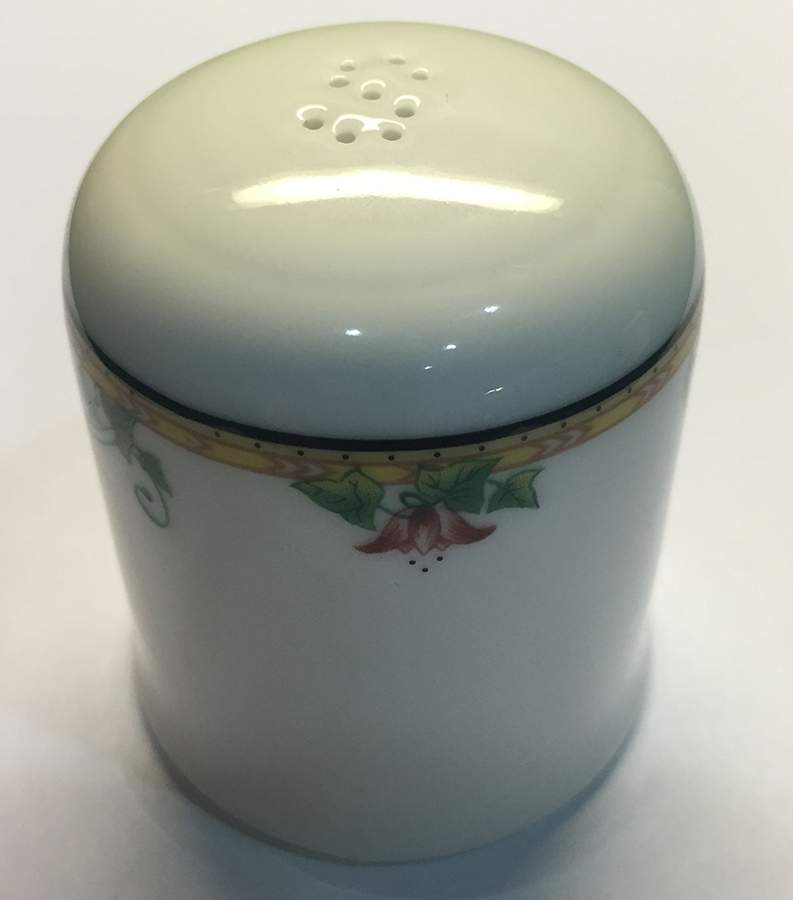 Perugia (Restaurant) Salt Shaker by Villeroy & Boch-1