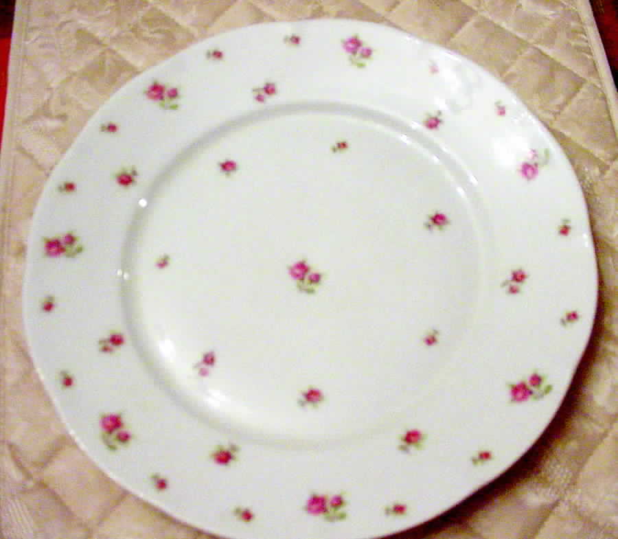 VIT250 Dinner Plate by Victoria (Czech)-1