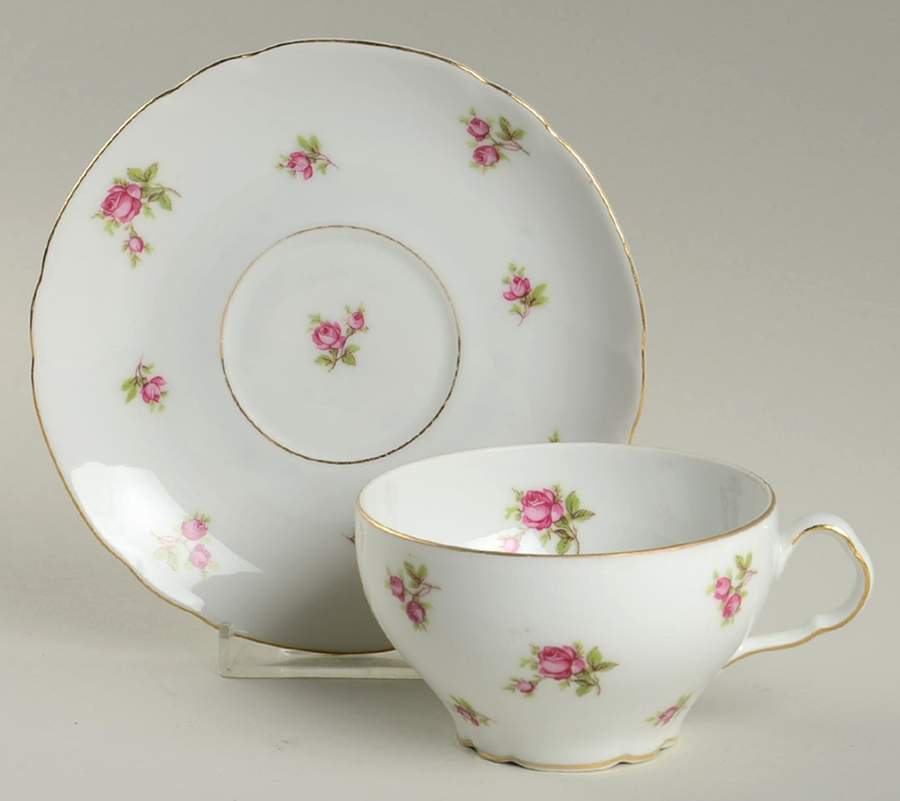 VIT254 Footed Cup & Saucer Set by Victoria (Czech)-1