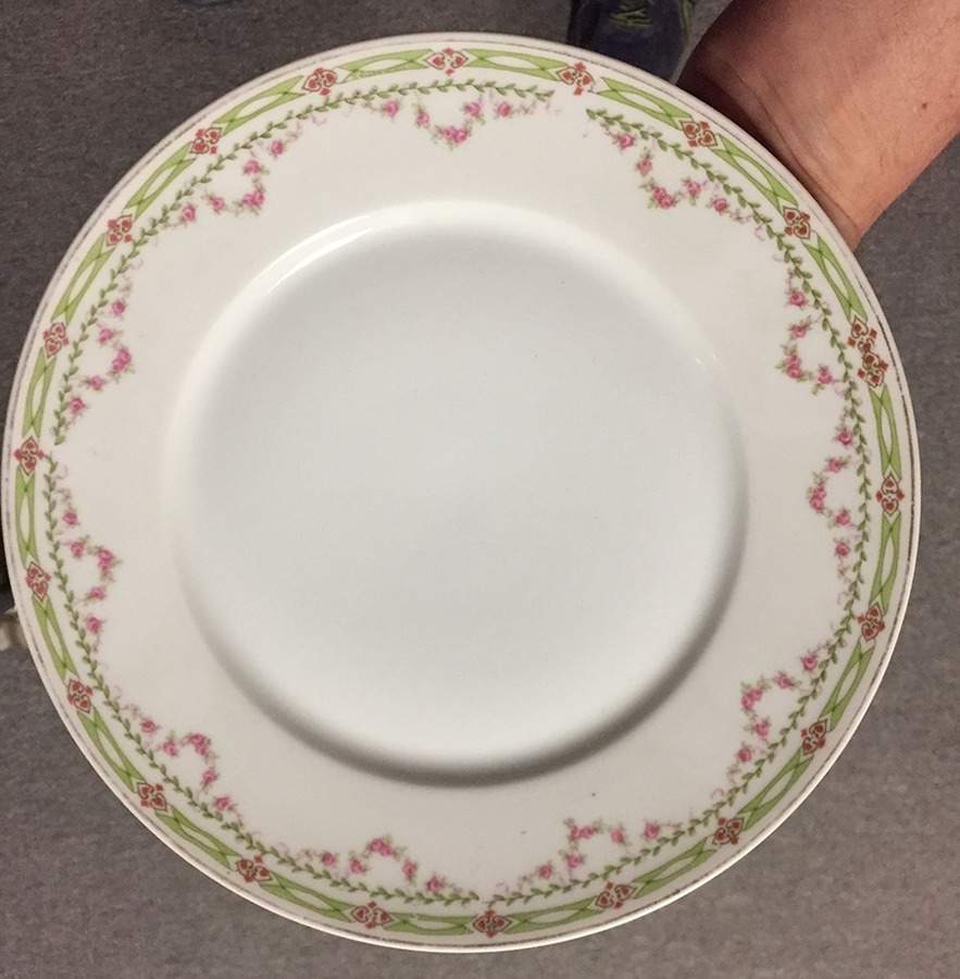VTO95 Dinner Plate by Victoria (Austria)-1