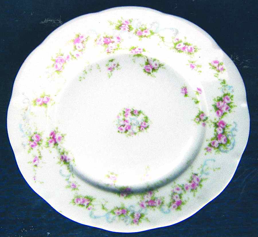 VTO101 Luncheon Plate by Victoria (Austria)-1