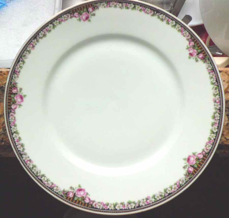 241 Dinner Plate by Victoria (Czech)-1