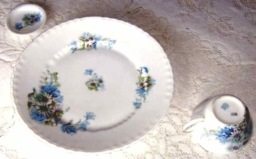 VTO109 Dinner Plate by Victoria (Austria)-1