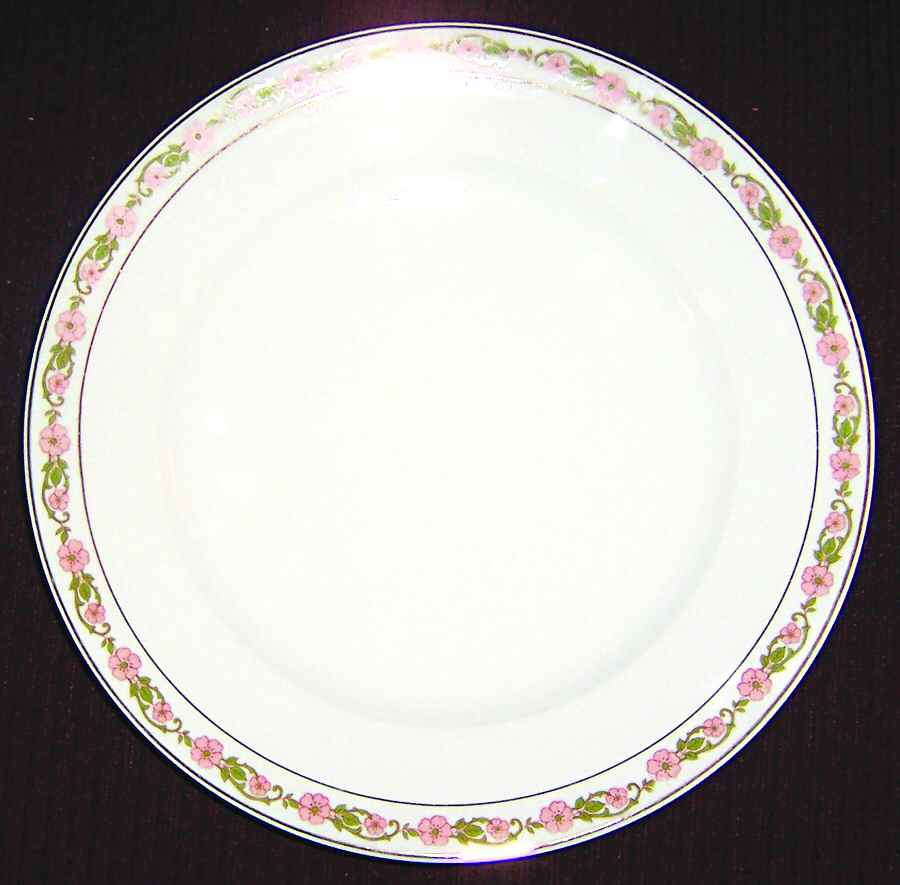 VNN24 Dinner Plate by Vienna-1