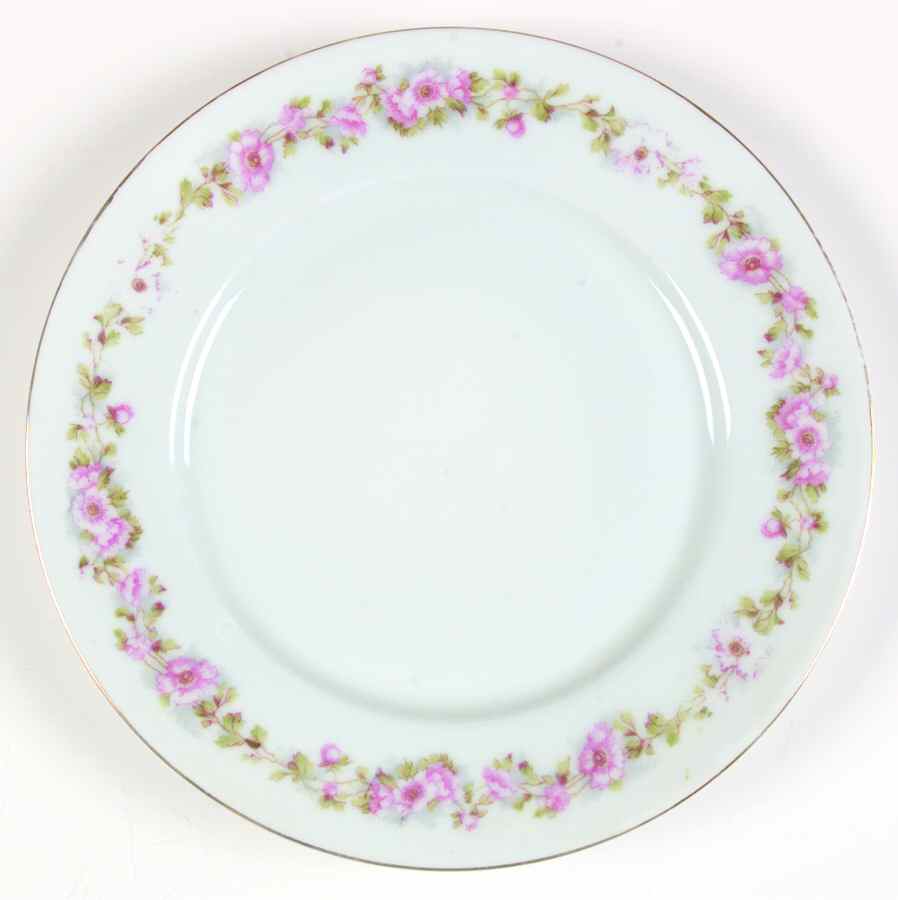 VTO117 Dinner Plate by Victoria (Austria)-1